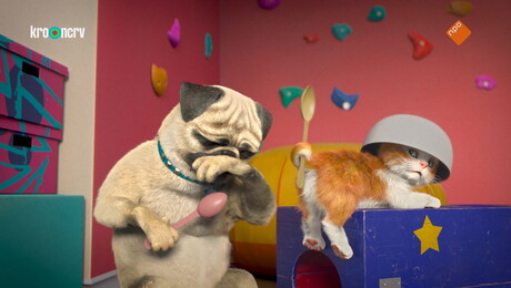 Hocus pocus pilatus ramp